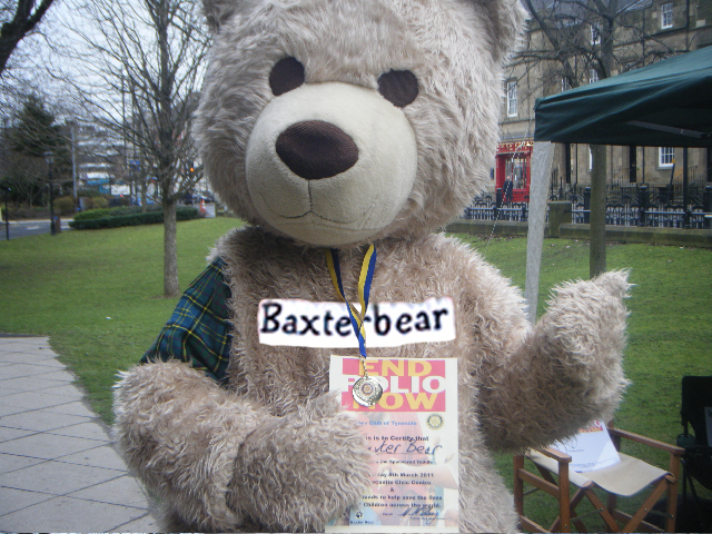 Bigbaxterbear4 EndPolioNow TODDLING P4 ok