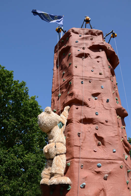 8x12 Climbing Wall 10