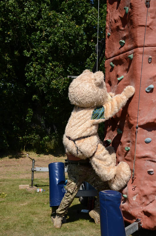 8x12 Climbing Wall 2