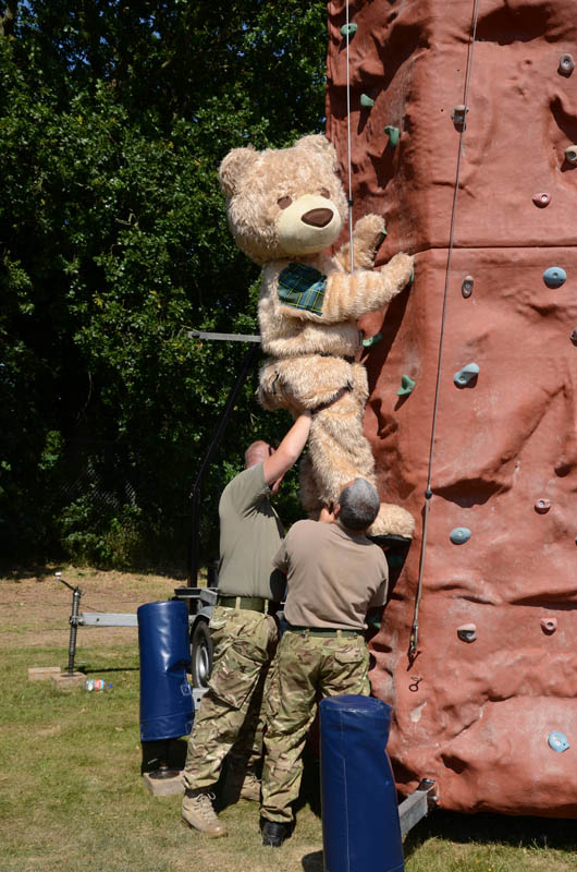 8x12 Climbing Wall 7