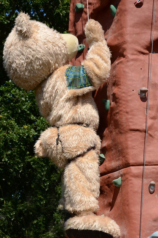 8x12 Climbing Wall 8