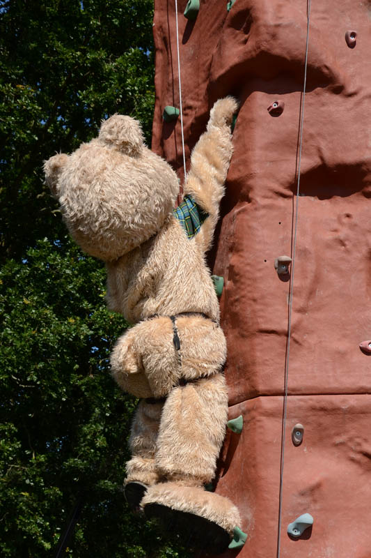 8x12 Climbing Wall 9
