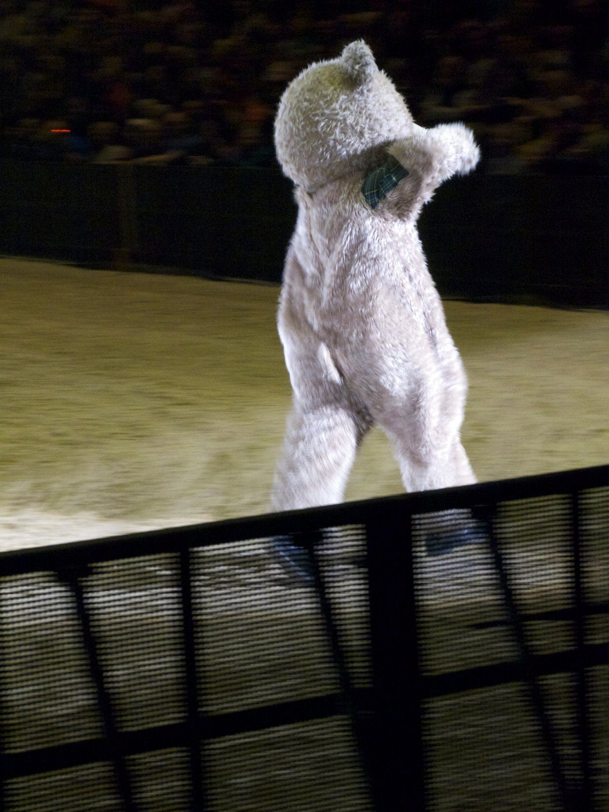 Baxterbear walkaround 3-001