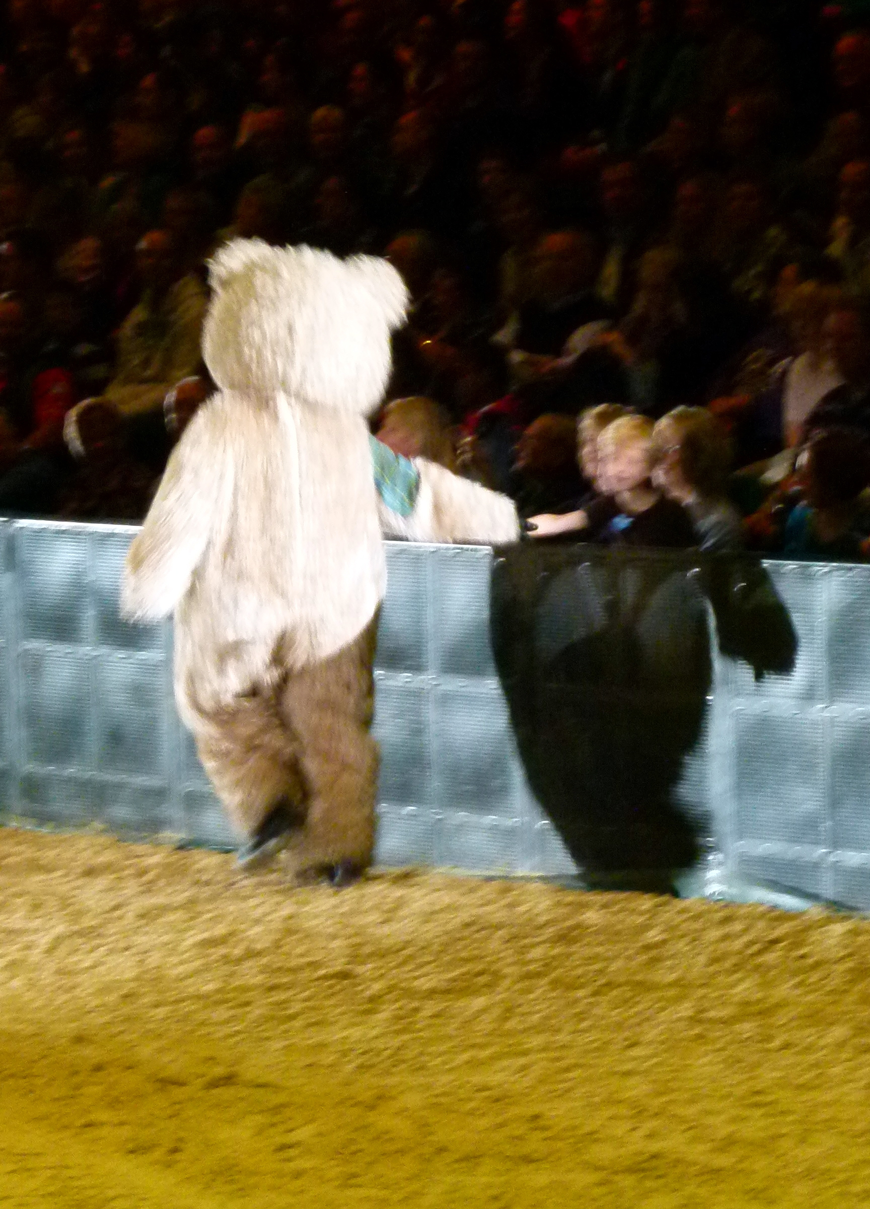 Baxterbear walkaround