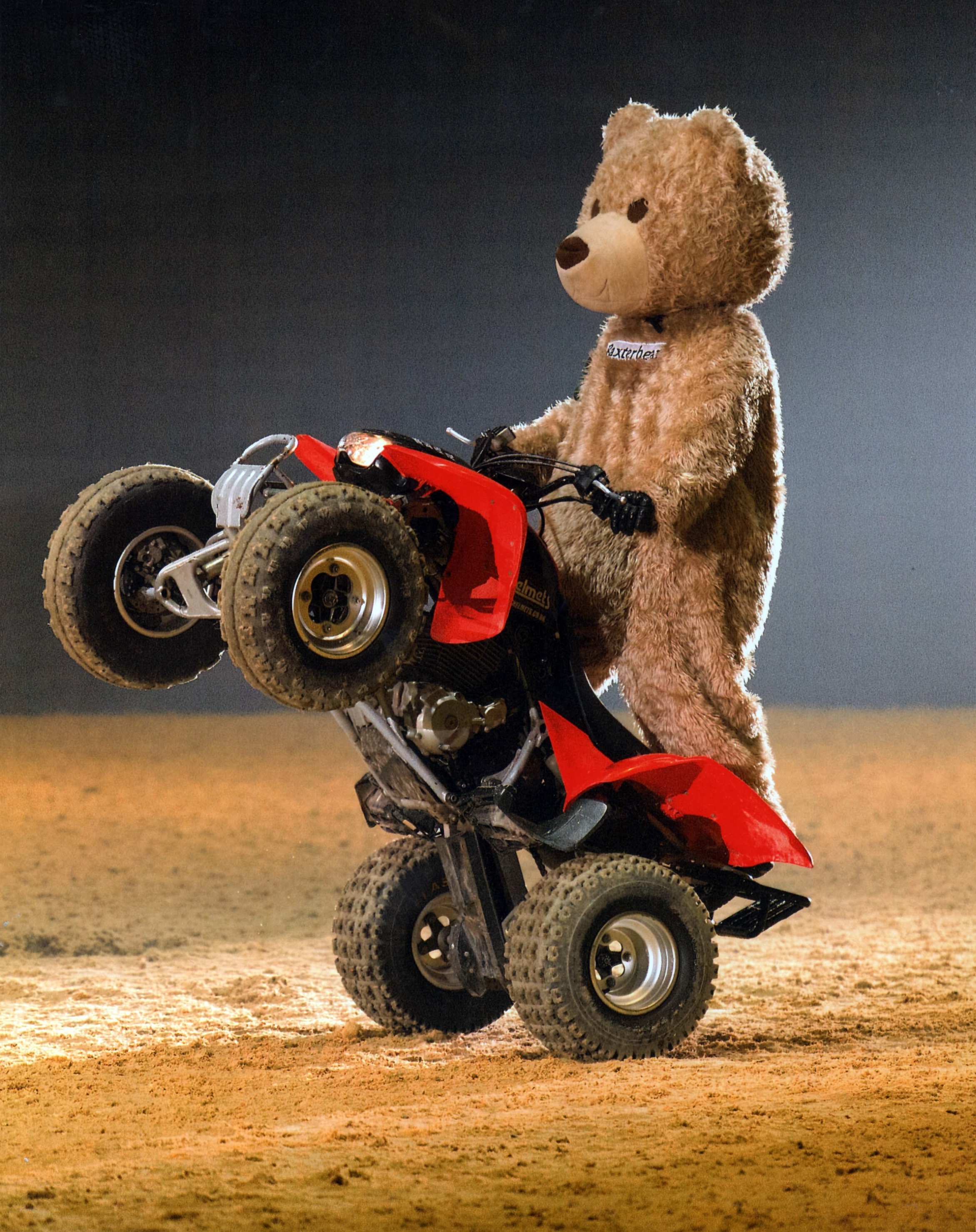 Baxterbear wheelie BMT 2013