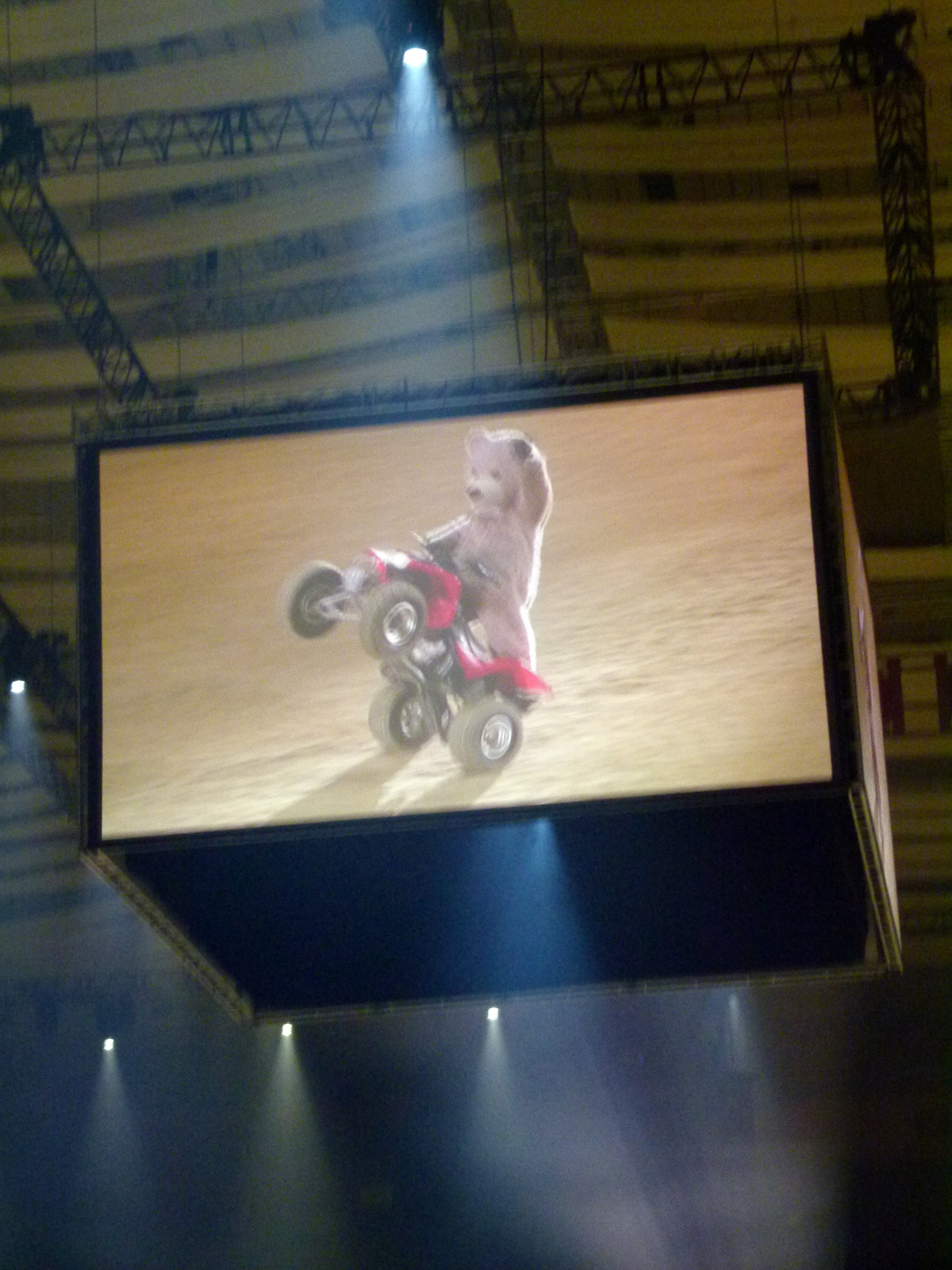 Baxterbear wheelie big screen-001