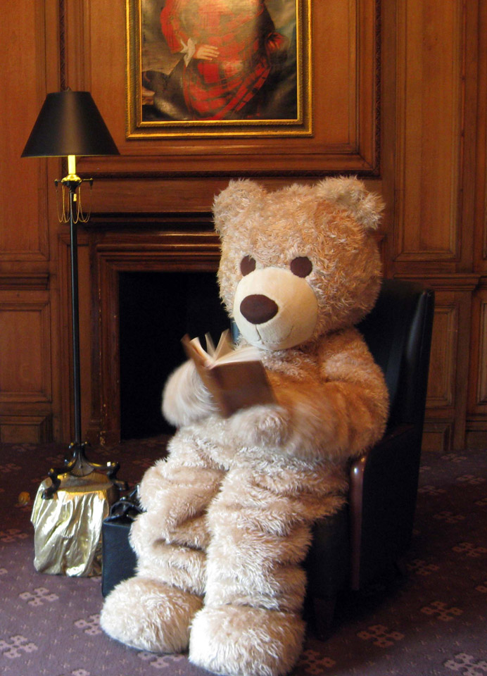 Baxterbear-reading-3