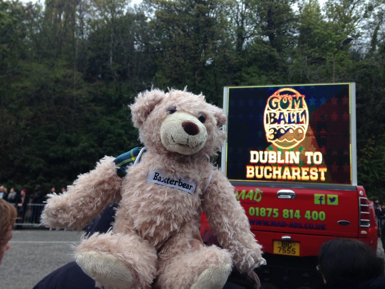 Baxterbear at the Gumball 3000